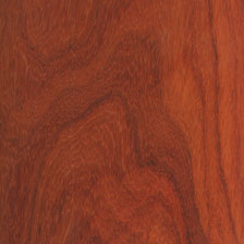 Padouk, Padauk